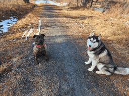 Stella - Thumbnail 2