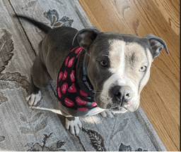 Hunter - Thumbnail 1