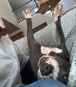 Hunter - Thumbnail 4